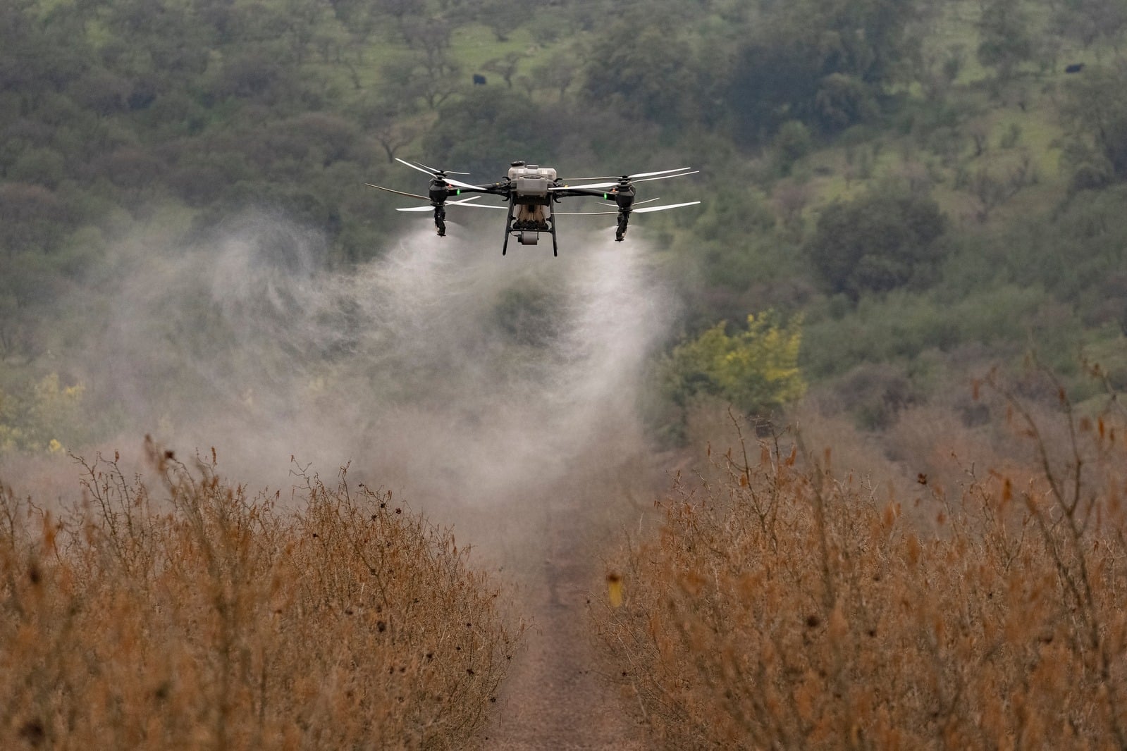 BioPollen - Assisted Pollination Technology